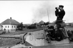 Panzer_III_14_panzer_division_ost