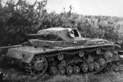 Panzer_III_Ausf_D_431