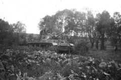 Panzer_III_Langrohr_25_11_Pz-Div_Eastern_Front_1942