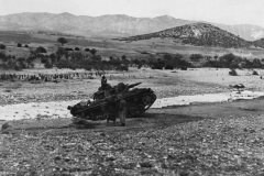 Panzer_III_Schwere_Abteilung_501_in_Tunisia_DAK
