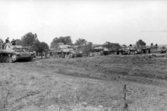 Italien_deutsche_Panzer_an_Feldrand
