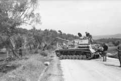 Italy_Panzer_IV