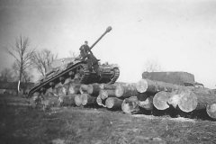Panzer_IV_5th_SS_Panzer_Division_Wiking_Russia