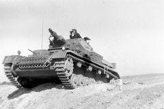 Panzer_IV_Ausf_D_Panzerregiment_35_2