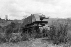 4.7cmt_Panzerjager_auf_35Rf_tank_destroyer