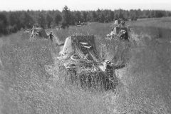 Panzerjager_I_Bialystok_1941_Operation_Barbarossa