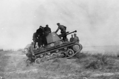 Panzerjager_I_german_tank_destroyer