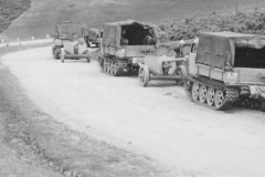 RSO_pak40_2