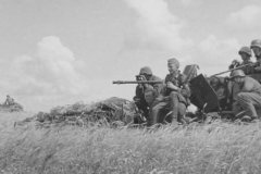 2_cm_flak_on_SdKfz_10_4