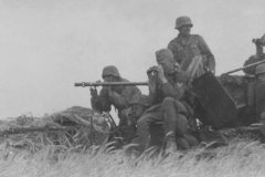 2_cm_flakvierling_30_on_SdKfz_10_4