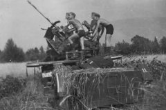 SdKfz_10-4_with_flak_30