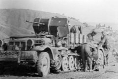 SdKfz_10_4_Demag_D7_photo