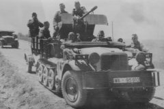 SdKfz_10_4_flak_version
