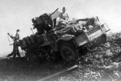 SdKfz_10_4_with_flak_30