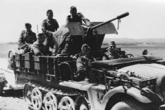 SdKfz_10_AA_halftrack