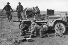 SdKfz_10_flak_and_US_soldiers