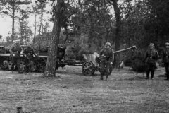SdKfz_10_towing_5_cm_pak_38