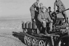 Sd_Kfz_10_4_flak_photo