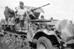 german_halftrack_SdKfz_10_flak_model_6