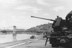 german_halftrack_SdKfz_10_flak_model_9