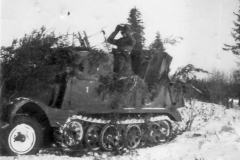 SdKfz_11_photo