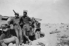 SdKfz_223_Afrika_Dak