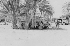 Afrika_korps_Sdkfz_232