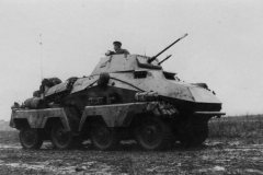 Schwerer_Panzerspahwagen_SdKfz_231_8-rad