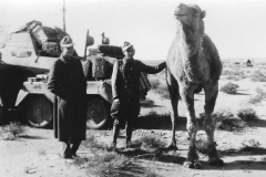 afrika_korps_sdkfz_263_and_camel