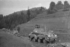 panzerspahwagen_sdkfz_231_Poland