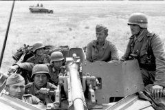 SdKfz_250-11_eastern_front_south_1942