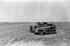 SdKfz_250-3_Ausf_A_eastern_front_south_1942