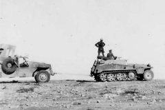 SdKfz_250_Afrika_Korps_DAK