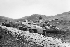 SdKfz_250_DAK_2