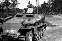 SdKfz_250_alt_halftrack