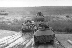 SdKfz_250_and_251_eastern_front_south_1942
