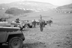 SdKfz_250_halftracks