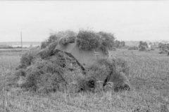 camouflaged_Schutzenpanzer_1941_eastern_front