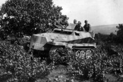 leichter_Schutzenpanzerwagen_SdKfz_250_2