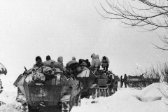 Column_of_SdKfz_251