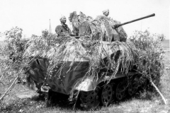 SdKfz_251-17_Hermann_Goering