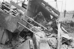 SdKfz_251-21