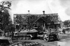SdKfz_251-4_with_gun