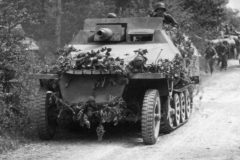 SdKfz_251-9_Ausf_D_mit_7_5_cm_KwK_37_L24_Stummel__Das_Reich_1944