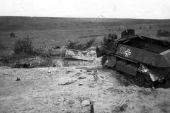 SdKfz_251_113
