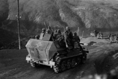 SdKfz_251_9PD