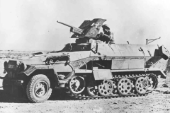 SdKfz_251_Ausf_B_PaK_DAK