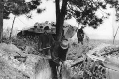 SdKfz_251_Ausf_D_1945