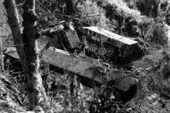 SdKfz_251_Ausf_D_Near_Gavray_France.1_August_1944