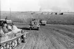SdKfz_251_and_SdKfz_250_Schutzenpanzerwagen_eastern_front_1942